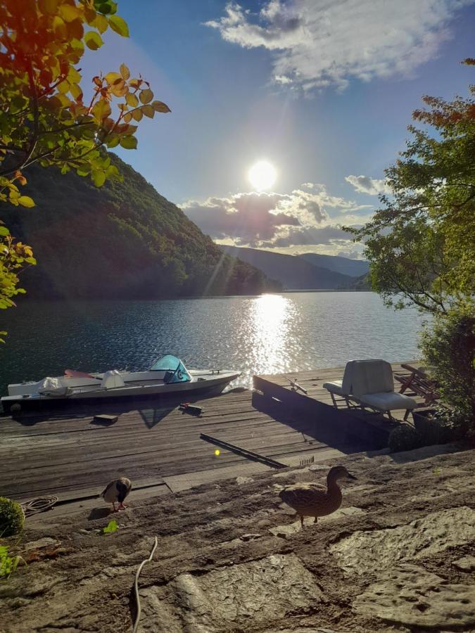 Forest Dream Lake House Яйце Экстерьер фото